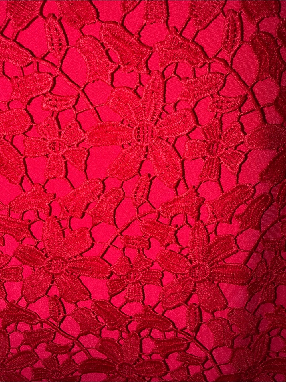 Lauren Ralph Lauren Hot Pink Floral Lace Midi Dress - Picture 4 of 9